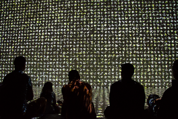 People sitting and watching visualisations on a large screen