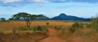 Photo of African landscape