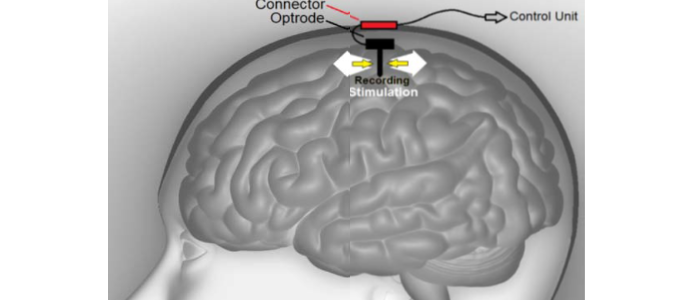 An optrode designed for closed loop neuroprosthetics.
