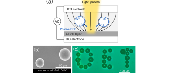 An optoelectronic device for manufacturing