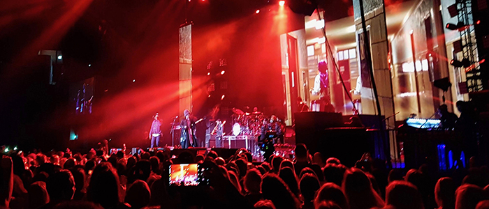 A live gig from the audience's perspective