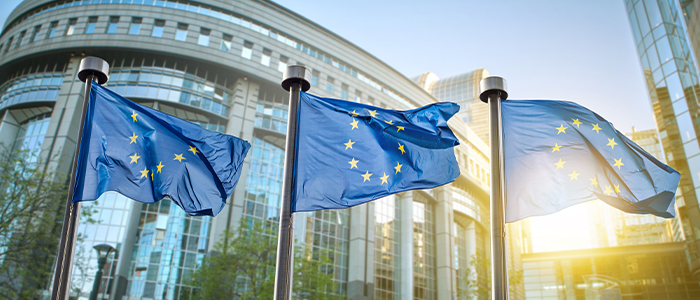 EU flags