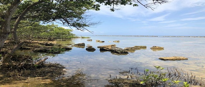 Coastal scene in Cuba