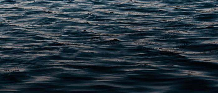 Image credit Nathalia Arantes - approved use