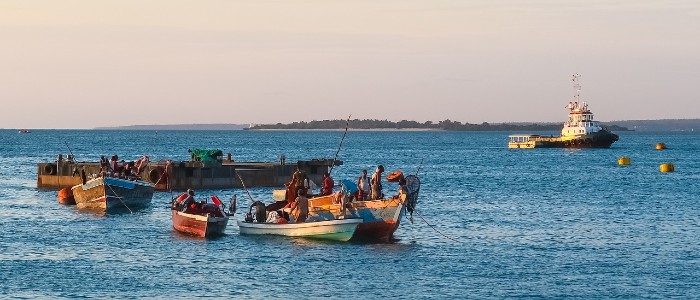 Image of small fishing boats off the coast of Africa