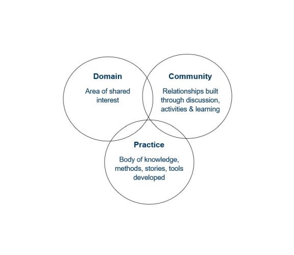 An image of the cyclical life of the CoP stages