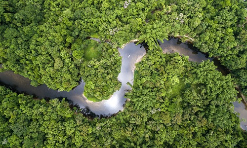 Aerial view of rainforest in Brazil with a river winding through a thick forest of green trees. Image credit: Ildo Frazao | iStockphoto https://www.istockphoto.com/photo/aerial-view-of-rainforest-in-brazil-gm657572164-119853657