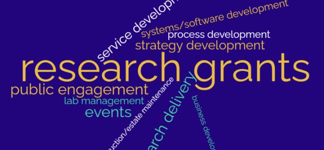 Wordcloud featuring: research grants in very large font, and then smaller: financial management, course/teaching development, service development, systems/software development, process development, strategy development, public engagement, lab management, events, construction/estate maintenance, research delivery, business development.