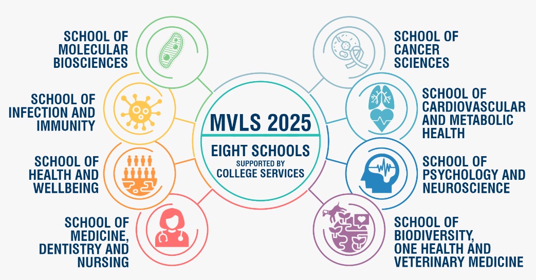 MVLS 2025 - New College Structure