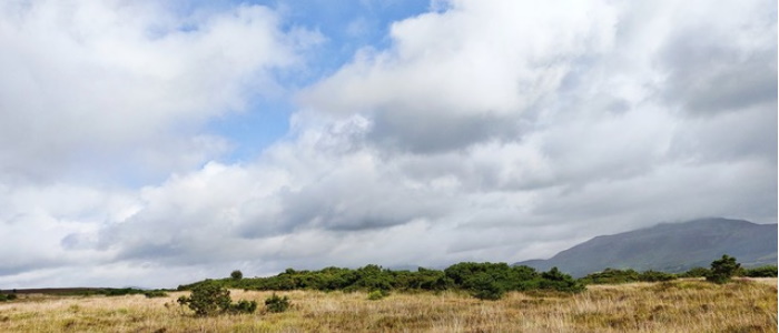 Drumadoon, Arran, re-wilding landscape. Photo credit: N. Whitehouse