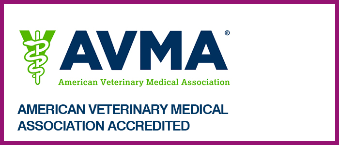 American Veterinary Medical Association Accreditation logo