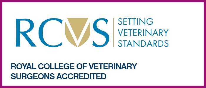 Royal College of Veterinary Surgeons Accreditation logo