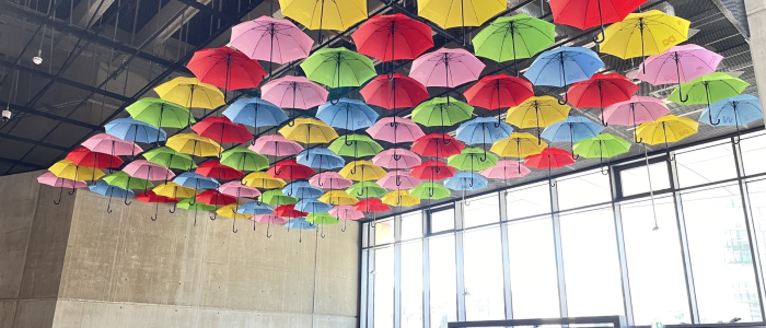 The Umbrella Project in the JMS
