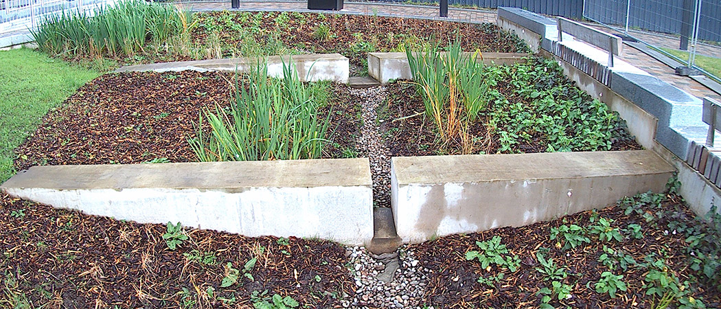 Image showing planting of new drainage installation 