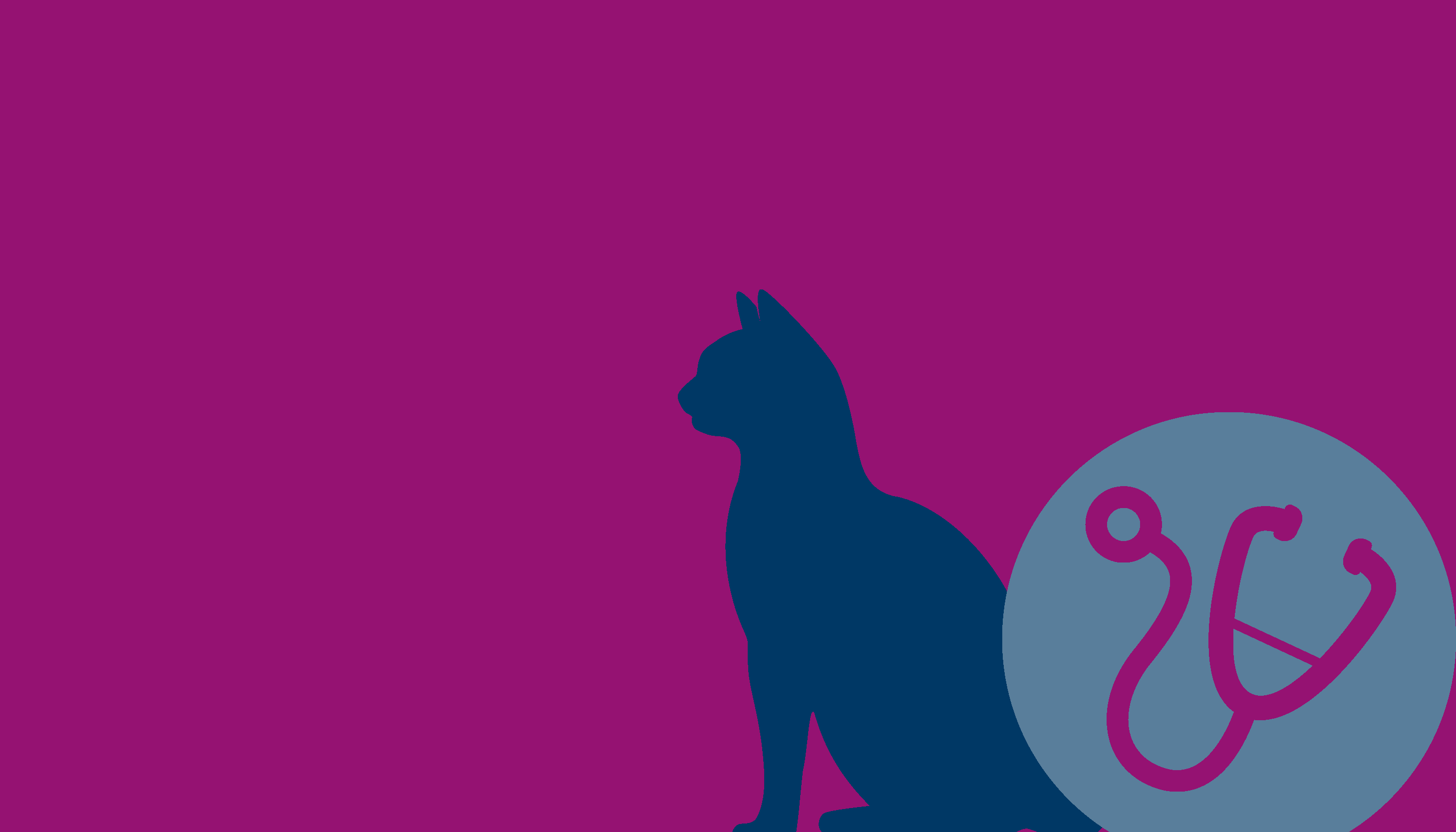 Outline of a cat sitting on a pavement with a circle stethescope.