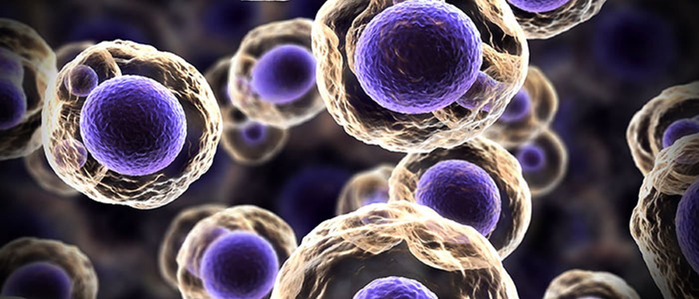 Cells multiplying