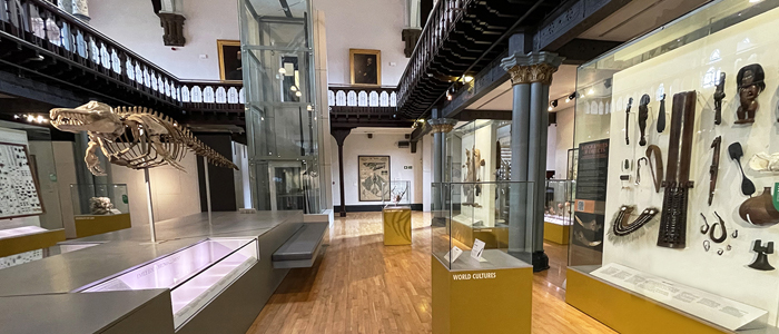 Displays in the Hunterian Museum
