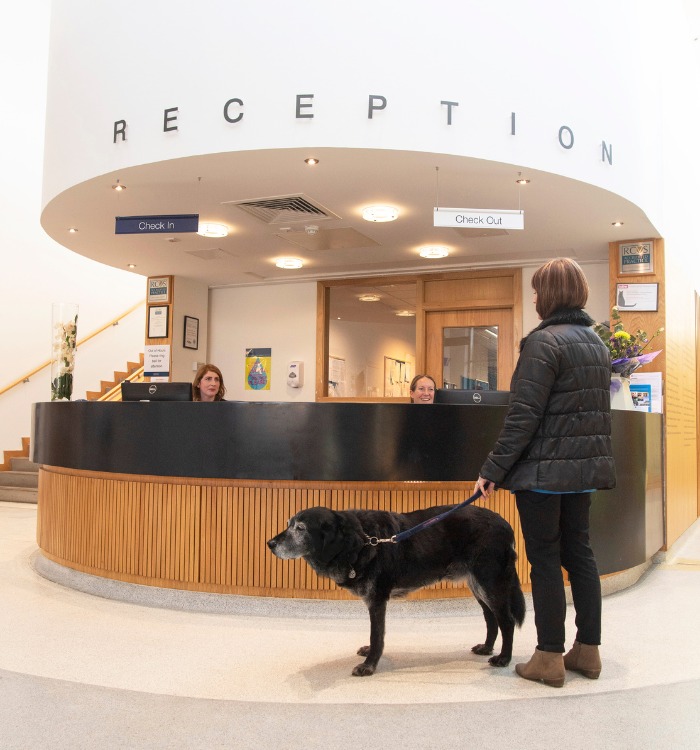 The reception area of the Small Animal Hospital