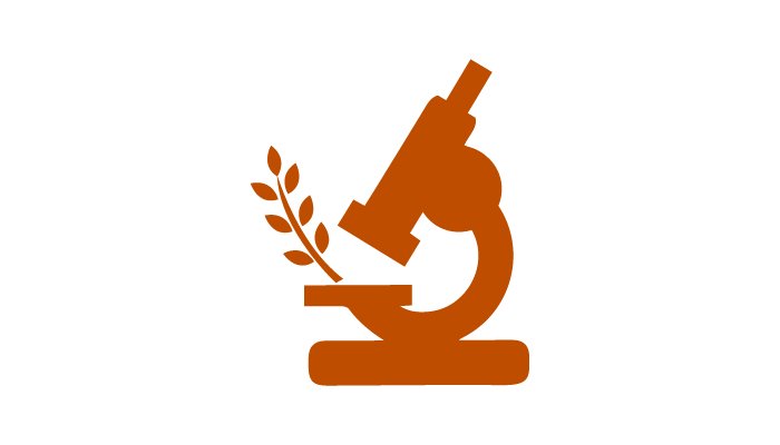 Icon of a microscope investigating a strand of wheat