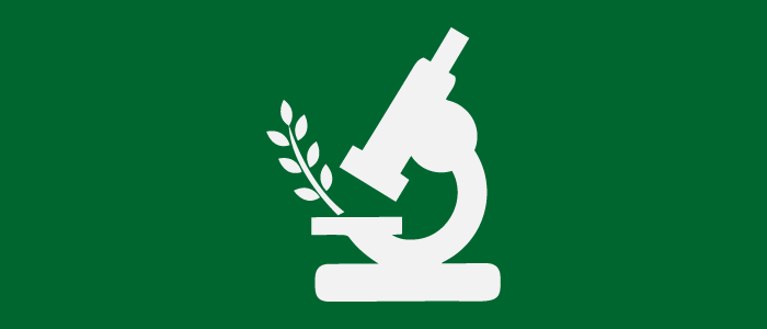 Icon of a microscope investigating a strand of whea