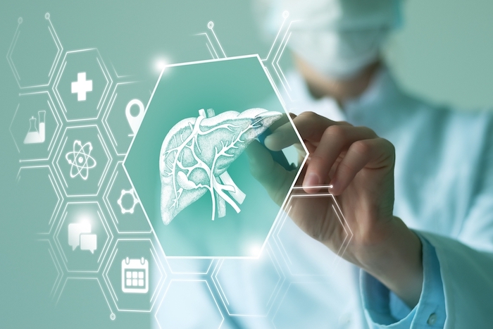 Digital drawing of an anatomical liver with medical signs surrounding it