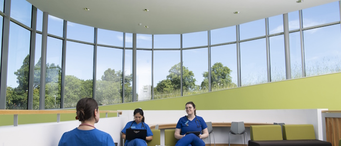 Student nurses sitting under the main window in the Small Animal Hospital