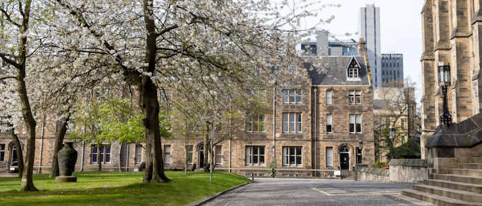 A view of Professors square looking north