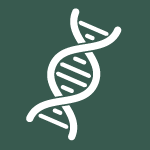 Icon of DNA spiral