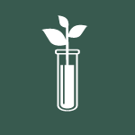 Icon of a plant stem in a test tube