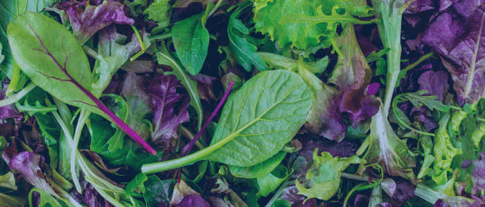 close up of salad leaves