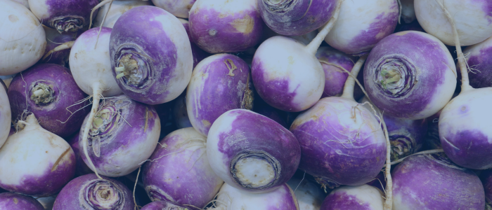 close up of turnips